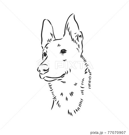 白黒の犬のイラスト素材 白黒の犬のイラスト素材