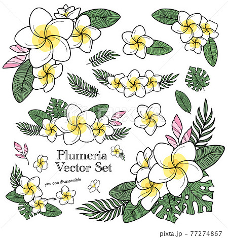 モノクロ 白黒 花 リーフのイラスト素材