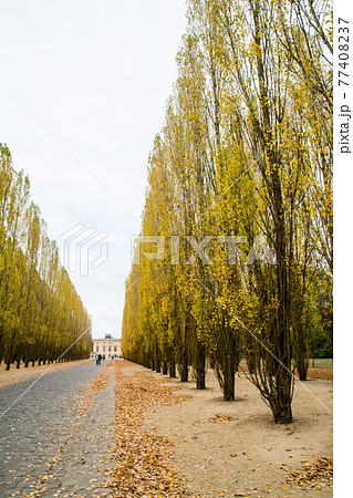 並木 紅葉 秋 フランスの写真素材 - PIXTA