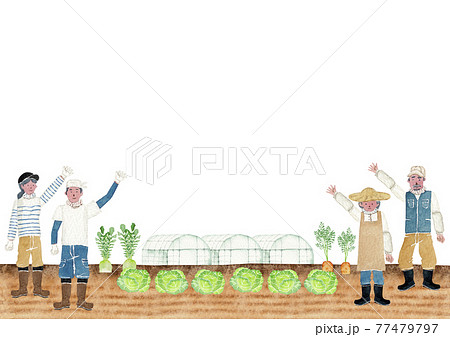 野菜畑のイラスト素材