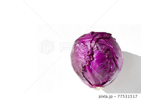 紫キャベツの写真素材