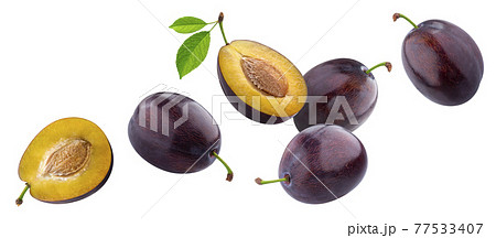 セイヨウスモモの写真素材