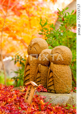 紅葉 秋 お地蔵さん 地蔵の写真素材 - PIXTA
