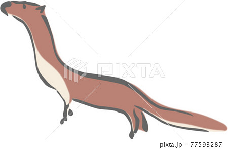 イタチのイラスト素材