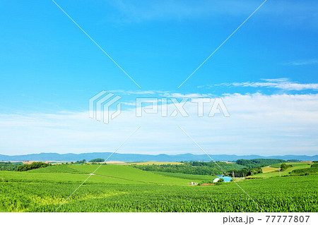 夏の写真素材集 ピクスタ