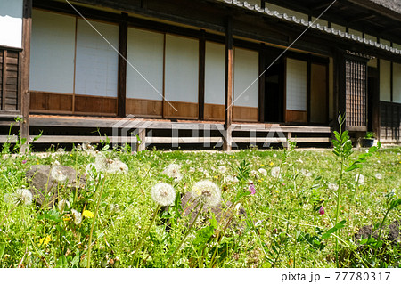 縁側廊下 縁側 日本家屋 庭木の写真素材