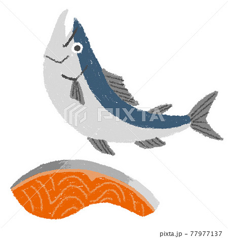 魚の切り身のイラスト素材