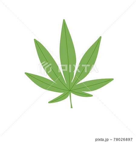 大麻のイラスト素材