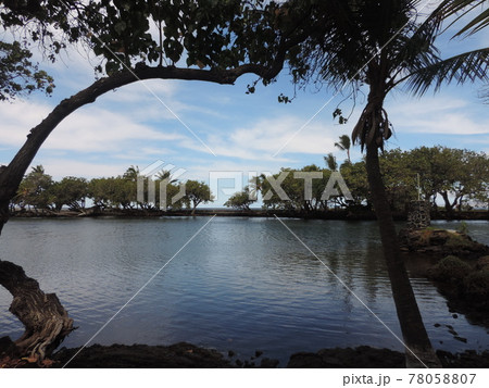 Jpirasutoxpazbr ダウンロード済み Iphone 壁紙 ハワイ フィッシュ ポンド 待ち受け