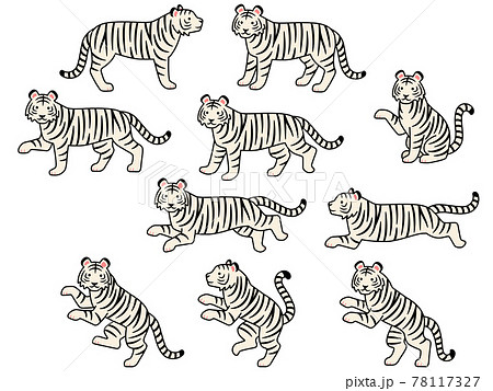 白虎のイラスト素材