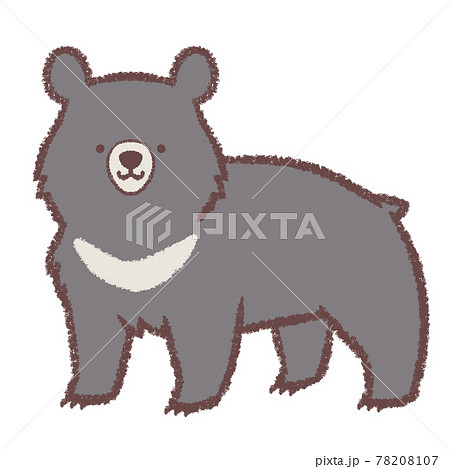 熊 ツキノワグマ かわいい 動物の写真素材