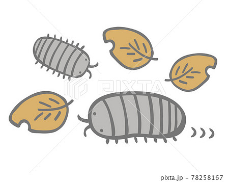 ダンゴムシのイラスト素材