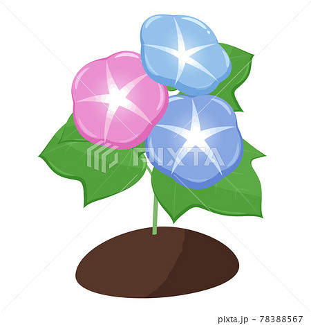 成長過程のイラスト素材