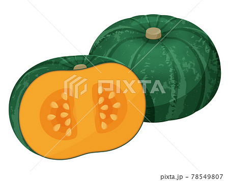 冬至かぼちゃのイラスト素材