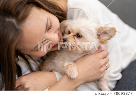 子犬 可愛い子犬 の写真素材集 ピクスタ