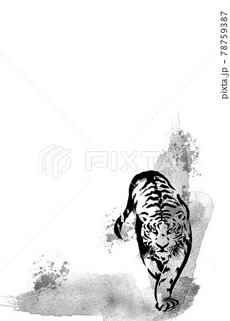 虎 年賀状 モノクロ 水墨画のイラスト素材 - PIXTA