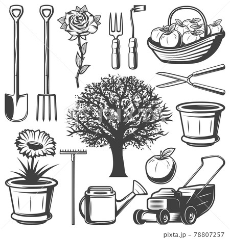 白黒 モノクロ ベクター りんごの木のイラスト素材 Pixta