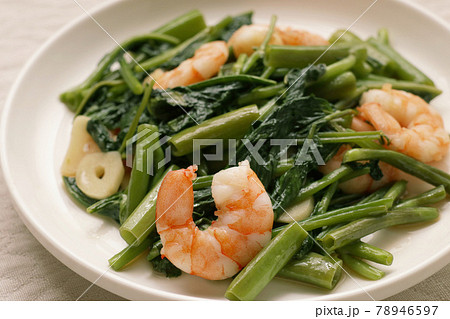 あさがお菜の写真素材