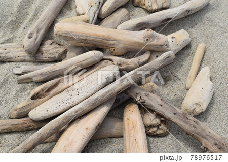 木 流木 漂流物 木材の写真素材 - PIXTA