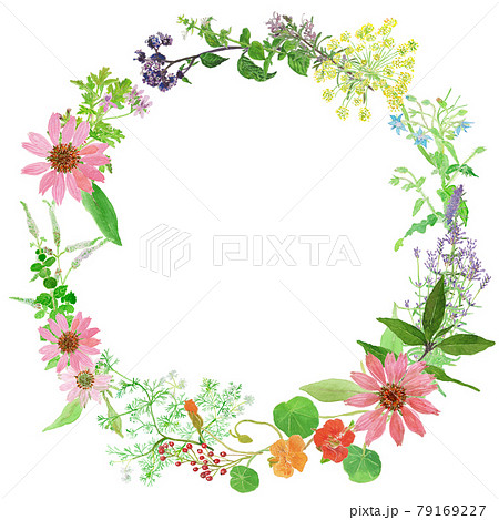 ふちどりのイラスト素材