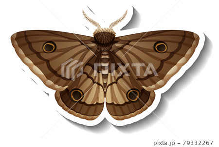 蛾 ガ かわいい 可愛いの写真素材