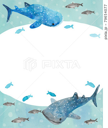ジンベイザメのイラスト素材集 ピクスタ