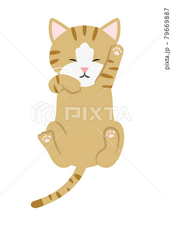 猫 伸び イラスト 動物の写真素材