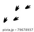 足黒ペンギン 足のイラスト素材 Pixta