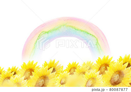 花 向日葵 ひまわり 水彩の写真素材