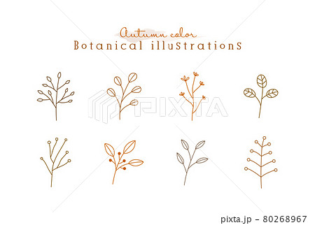 秋色の植物の線画イラストのセット シンプル ボタニカル ナチュラル 葉 自然 おしゃれのイラスト素材