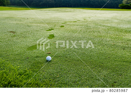 ゴルフ場 芝生の写真素材