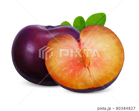 セイヨウスモモの写真素材