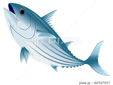 跳ねる魚のイラスト素材
