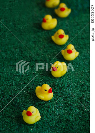 黄色 鳥 おもちゃ 緑の写真素材