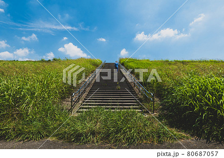 階段 雑草 土手 河川敷の写真素材