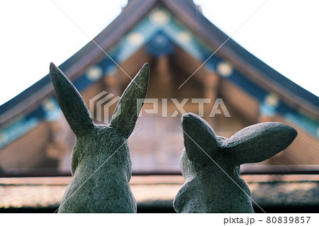 因幡の白うさぎ 出雲大社の写真素材