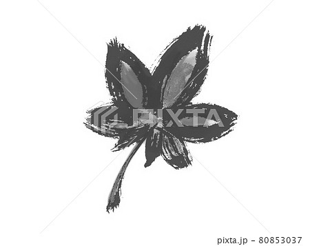 紅葉 もみじ 手書き 墨絵のイラスト素材