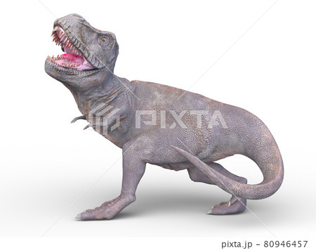 古生物のイラスト素材