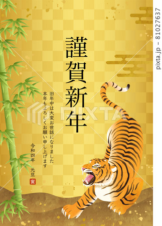 虎 和柄 ベクター カッコイイの写真素材