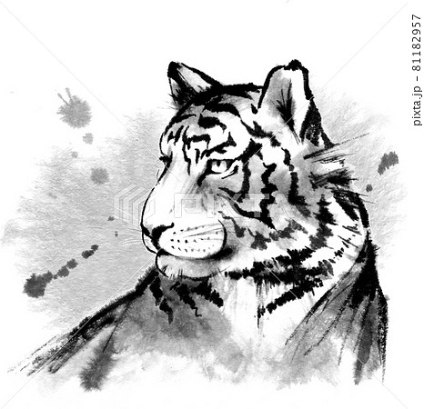 動物 墨絵のイラスト素材