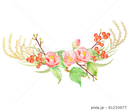 南天 植物 水彩画 水彩のイラスト素材 - PIXTA