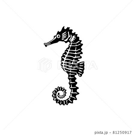 タツノオトシゴ イラスト かわいい 白バックのイラスト素材
