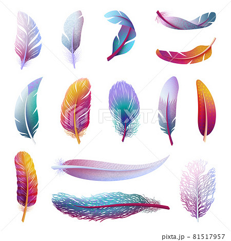 フェザーのイラスト素材