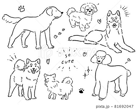 ベクター 線画 犬 柴犬のイラスト素材