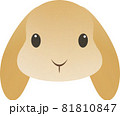 白いうさぎ 顔だけのイラスト素材