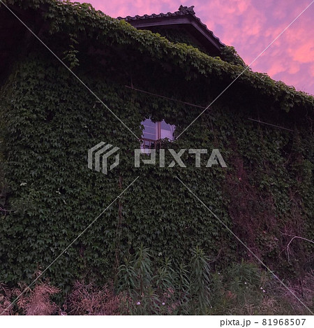 おいしげるの写真素材 おいしげるの写真素材