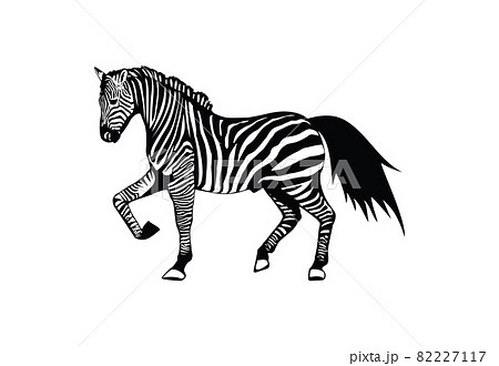 シマウマのイラスト素材