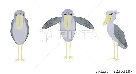 ハシビロコウのイラスト素材