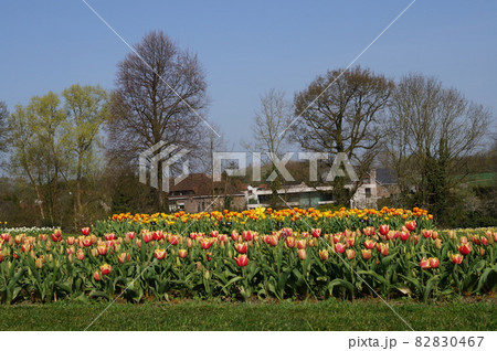 城 花壇 ヨーロッパ 中世の写真素材