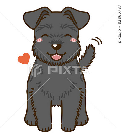 ミニチュアシュナウザーのイラスト素材